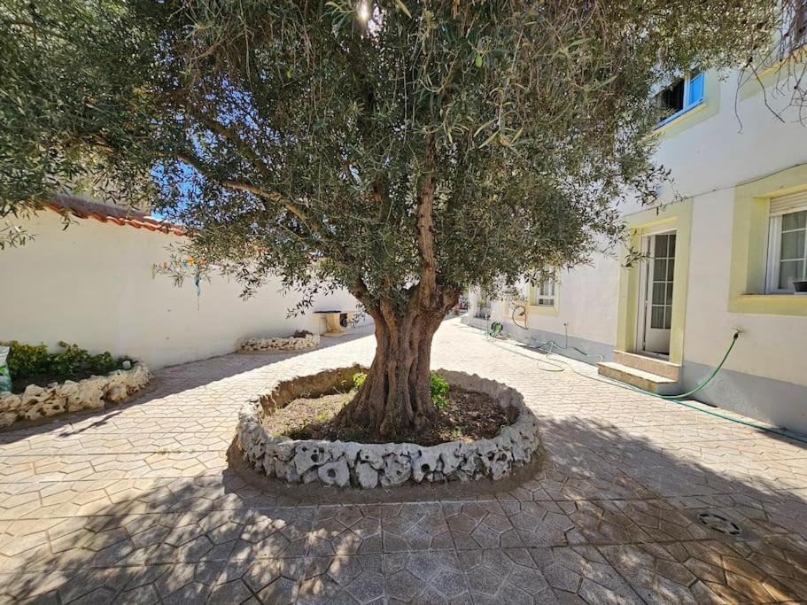 La Casa Del Arbol Villa Fuentiduena de Tajo Екстериор снимка